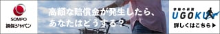 損保ジャパン　UGOKU